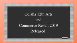 Odisha 12th Arts and Commerce Result 2019 Released