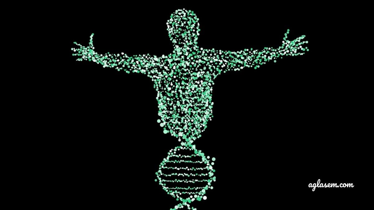 NEET 2021: 6 Biology Preparation Tips To Get Full Marks
