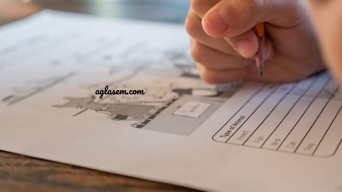 GATE BM Answer Key 2021
